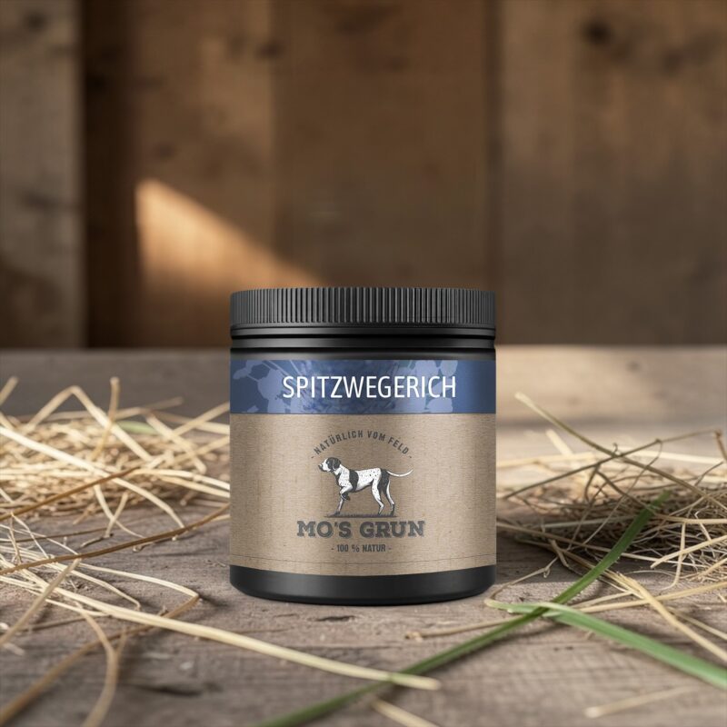 SPITZWEGERICH PULVER FÜR HUNDE